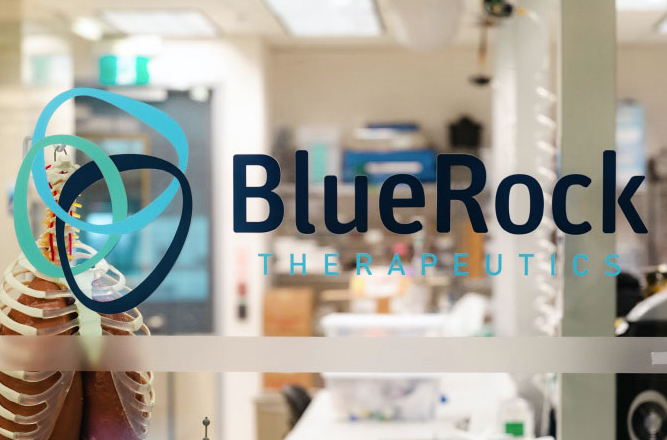 Jan, 2025, Berlin: BOOST project for gene replacement gene therapy